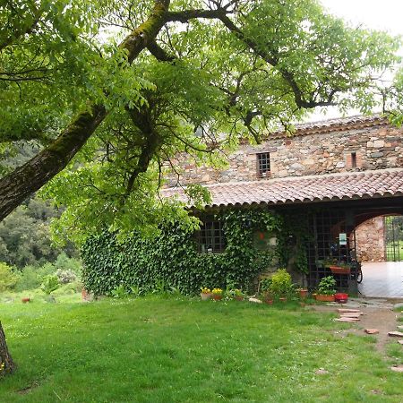 Bed And Breakfast Casanova De Sant Miquel Aiguafreda Exterior foto