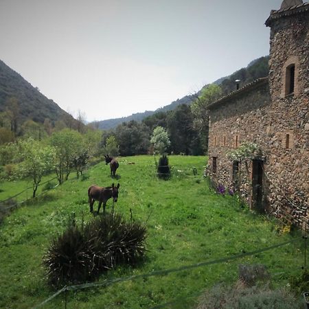 Bed And Breakfast Casanova De Sant Miquel Aiguafreda Exterior foto