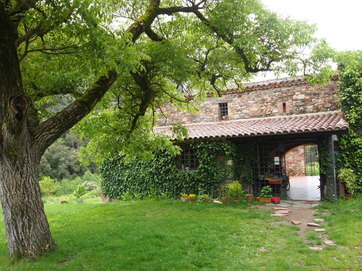 Bed And Breakfast Casanova De Sant Miquel Aiguafreda Exterior foto