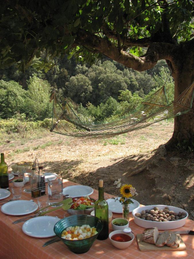 Bed And Breakfast Casanova De Sant Miquel Aiguafreda Exterior foto